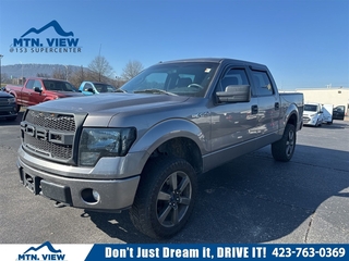 2014 Ford F-150 for sale in Chattanooga TN