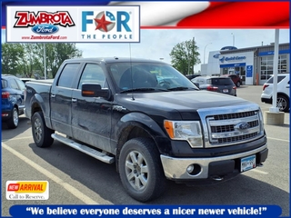 2013 Ford F-150 for sale in Zumbrota MN