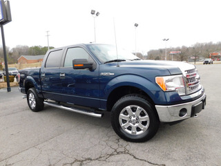 2013 Ford F-150 for sale in Clarksville TN