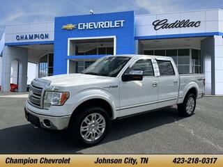 2012 Ford F-150 for sale in Sevierville TN