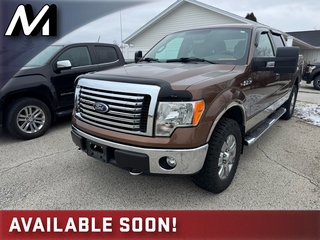2012 Ford F-150 for sale in Plymouth WI