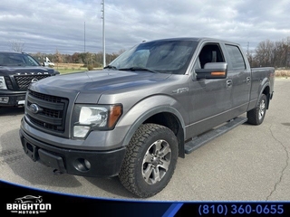 2013 Ford F-150 for sale in Brighton MI