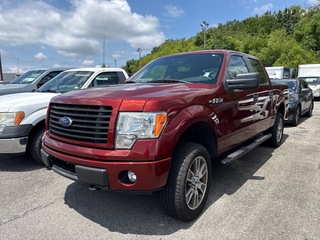 2014 Ford F-150 for sale in Knoxville TN