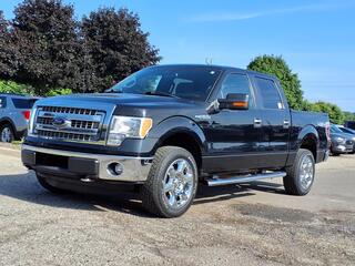 2013 Ford F-150 for sale in Farmington Hills MI