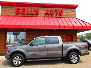 2013 Ford F-150 for sale in St. Cloud MN