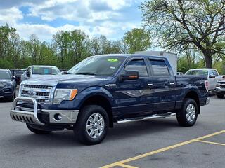 2014 Ford F-150 for sale in Woodhaven MI