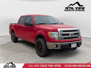 2014 Ford F-150 for sale in Mcdonald TN