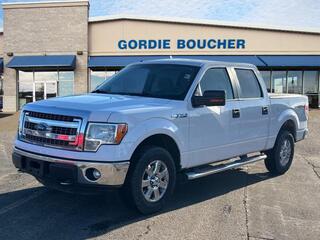 2014 Ford F-150 for sale in Janesville WI