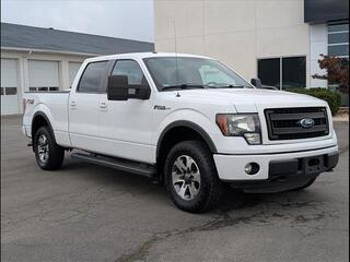 2014 Ford F-150 for sale in Cleveland TN