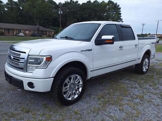 2013 Ford F-150 for sale in Hartselle AL