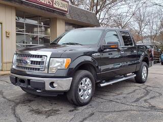 2013 Ford F-150 for sale in Grand Rapids MI