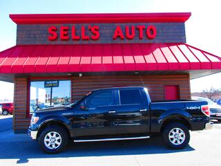 2013 Ford F-150 for sale in St. Cloud MN