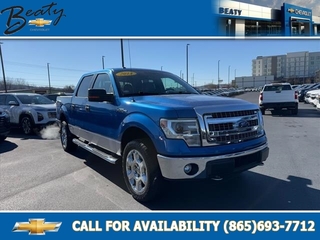 2014 Ford F-150 for sale in Knoxville TN