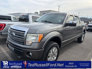 2012 Ford F-150 for sale in Knoxville TN