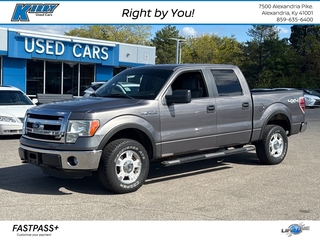 2014 Ford F-150 for sale in Alexandria KY