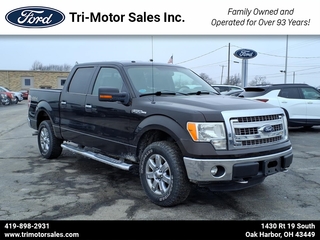 2013 Ford F-150 for sale in Oak Harbor OH