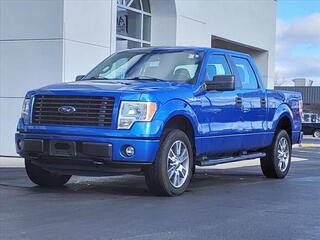 2014 Ford F-150 for sale in Shelbyville IN