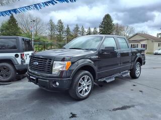 2014 Ford F-150 for sale in Cortland OH