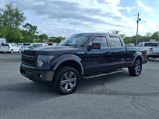 2014 Ford F-150 for sale in Johnson City TN