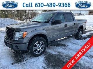 2014 Ford F-150 for sale in Mt. Juliet TN