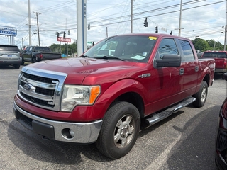2014 Ford F-150 for sale in Knoxville TN