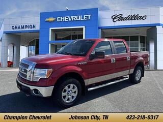 2011 Ford F-150 for sale in Johnson City TN
