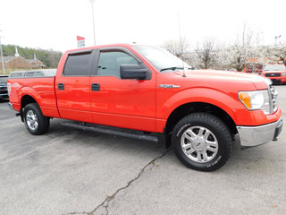 2013 Ford F-150 for sale in Clarksville TN