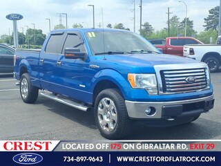 2011 Ford F-150 for sale in Flat Rock MI