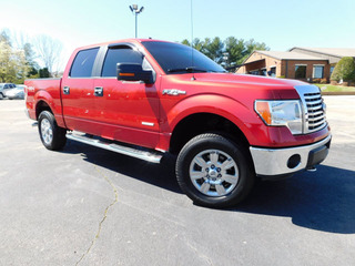 2011 Ford F-150 for sale in Clarksville TN