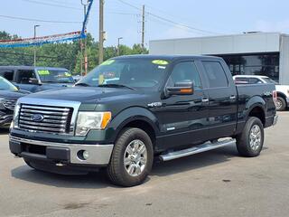 2012 Ford F-150 for sale in Woodhaven MI