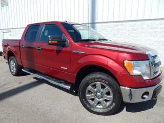 2014 Ford F-150 for sale in Clarksville TN