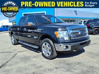 2014 Ford F-150 for sale in Fowlerville MI