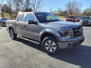 2014 Ford F-150 for sale in Clarksville TN