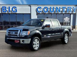 2012 Ford F-150 for sale in Madison NE