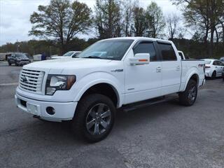 2012 Ford F-150 for sale in Hartselle AL