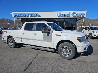 2013 Ford F-150 for sale in Bristol TN