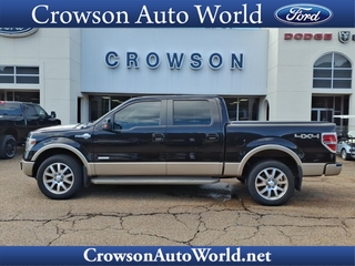 2014 Ford F-150 for sale in Louisville MS