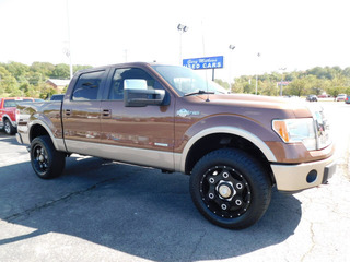 2011 Ford F-150 for sale in Clarksville TN