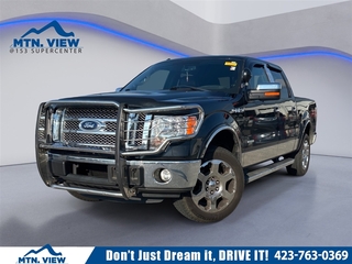 2012 Ford F-150 for sale in Chattanooga TN