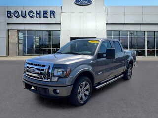 2012 Ford F-150 for sale in Janesville WI