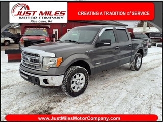 2013 Ford F-150 for sale in Rice Lake WI