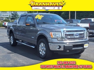 2014 Ford F-150 for sale in Branford CT