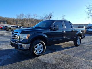 2011 Ford F-150 for sale in Johnson City TN