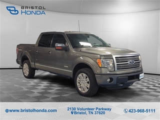 2011 Ford F-150 for sale in Bristol TN