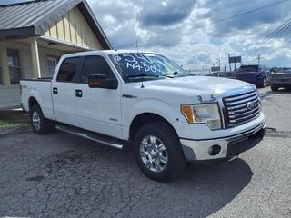 2011 Ford F-150 for sale in Nashville TN