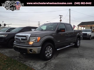 2013 Ford F-150 for sale in Winchester VA