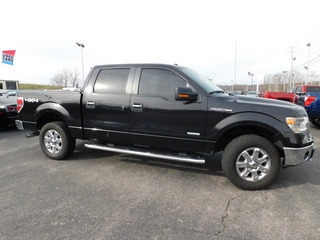 2014 Ford F-150 for sale in Clarksville TN