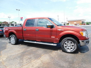 2014 Ford F-150 for sale in Clarksville TN