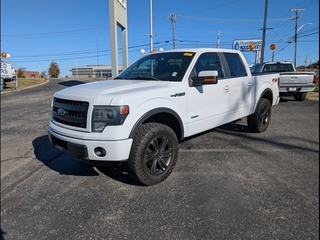 2014 Ford F-150 for sale in Knoxville TN