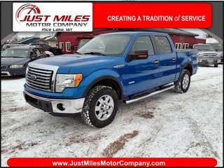 2011 Ford F-150 for sale in Rice Lake WI